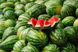 vx网红吃瓜免费入口