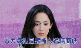 娜扎被爆料视频在线观看,真相与舆论的漩涡